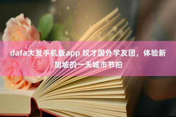 dafa大发手机版app 奴才国外学友团，体验新加坡的一天城市节拍