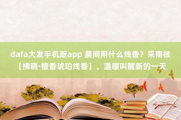 dafa大发手机版app 晨间用什么线香？采南枝【拂晓·檀香琥珀线香】，温暖叫醒新的一天